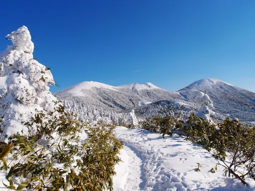雄獅+旅天下前10月營收破200億 雙11買1送1只要1萬1111元