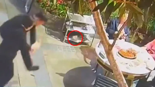店員出腳救女客手機　神準！直接把它「踢進火鍋裡」