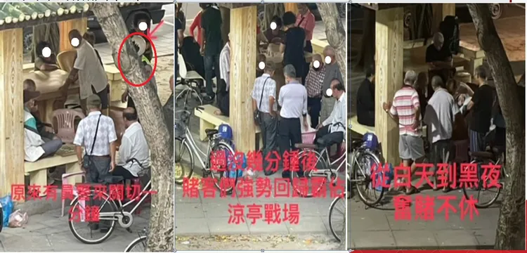 北市公園聚賭躲警察三部曲。汪志冰提供