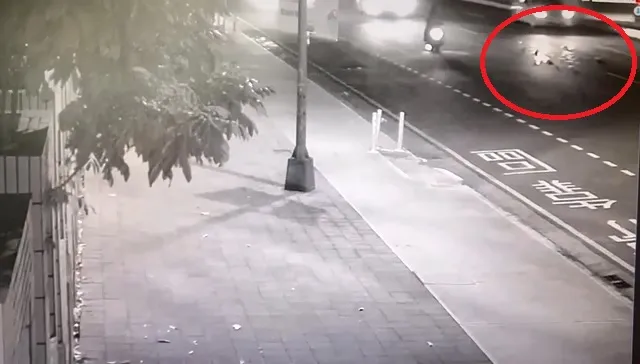 千元鈔散落在馬路上。民眾提供