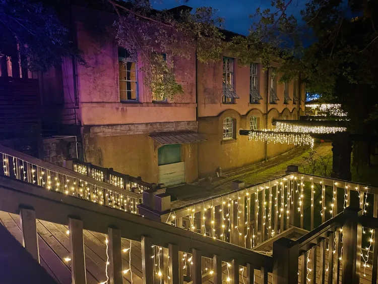 自來水園區越夜越美麗。北水處提供