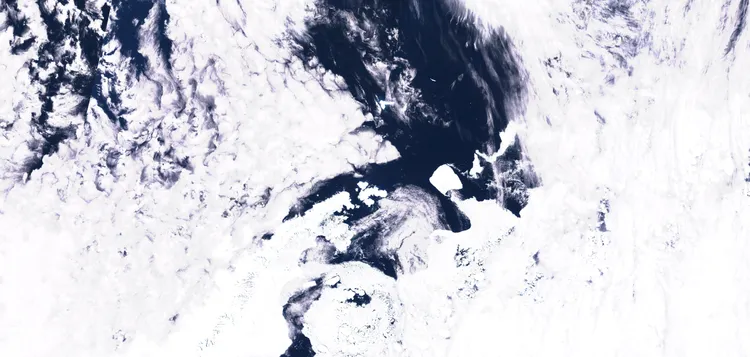 冰山可能阻斷野生生物尋找食物的路徑，也會擾亂航運。路透社