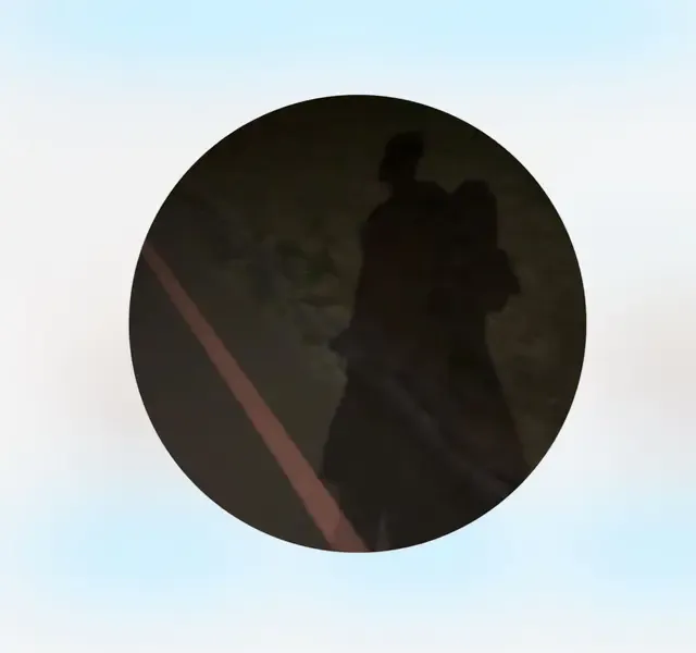 大頭貼和兩人的剪影極像。翻攝自Dcard