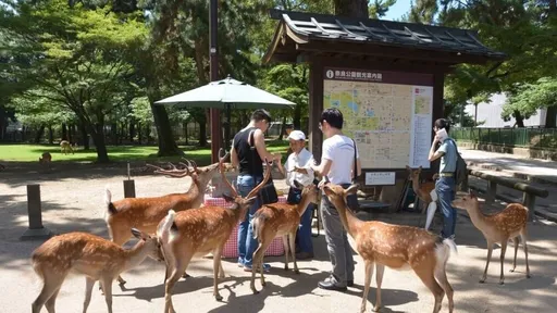 1年死逾50頭！奈良鹿愛護會涉虐鹿　官方調查結果出爐