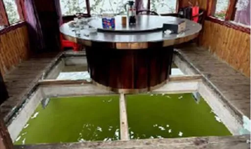福建水上餐廳玻璃地板突破裂 食客用餐竟溺斃