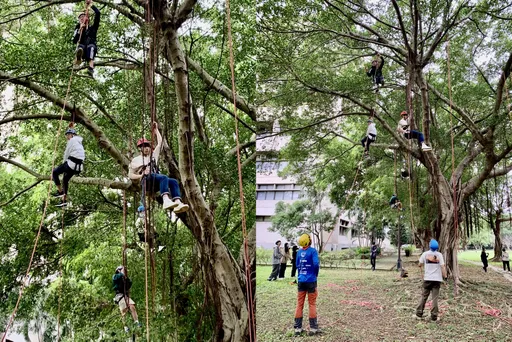 大學生學爬樹!結合環境生態與ESG理念 元智教師推攀樹體驗