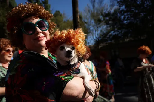 毛小孩陪伴有功 日研究:老人養狗降低失智風險