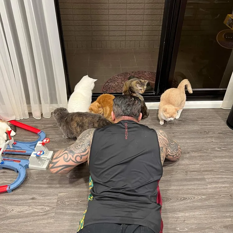 館長家中養有許多貓咪。翻攝自飆捍臉書