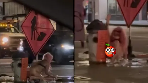 誇張影片|粉髮妹「當街脫光洗香香」 消防栓助攻!駕駛經過看傻眼