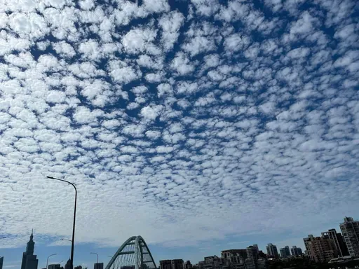 天上出現滿滿棉花糖 「高積雲」原因曝光!氣象署:變天前兆
