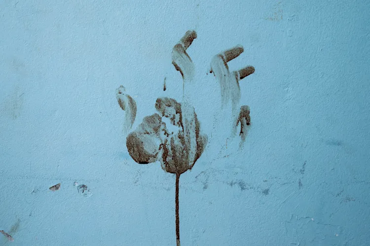 以色列一處集體農場，牆上的血手印。美聯社