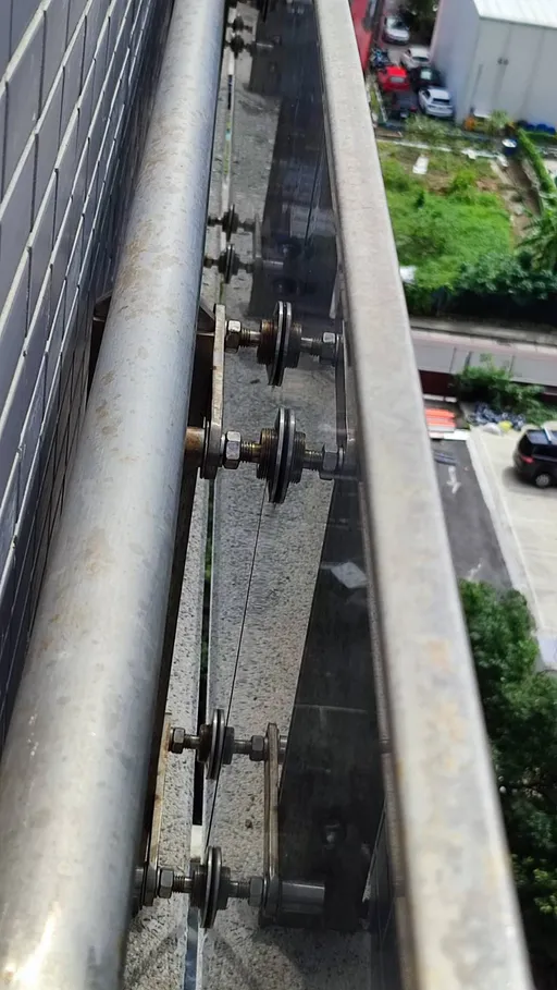 鴿子墜卡高樓帷幕玻璃狹縫困3天 動保員化身蜘蛛人妙手援救