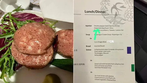 飛機商務艙菜單驚見「進口狗糧」 網笑噴:經濟艙吃國產的?