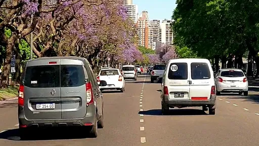 阿根廷民眾製「紙車牌」上路　進口停擺鬧車牌荒應急