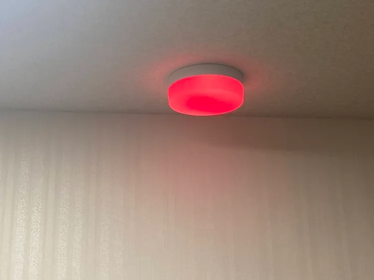 店內還有臨檢警示燈。讀者提供