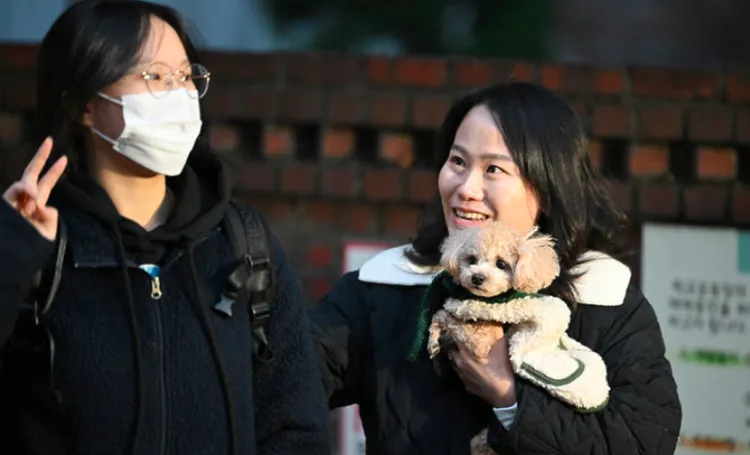 南韓大學入學考試，南韓家長帶著小狗為考生打氣。翻攝News1網站