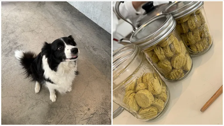 即日起至11月22日，在所有Aesop店舖都提供專為寵物製作的點心。張家玲攝