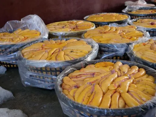 快來品嚐在地好味道 竹縣烏魚推廣明登場