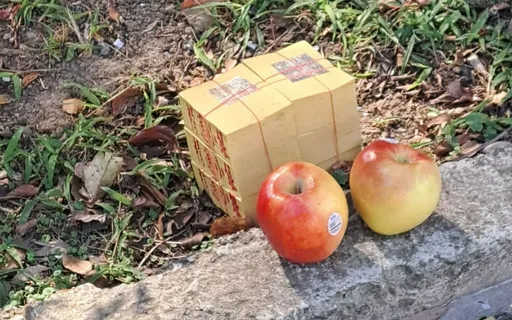 公園赫見蘋果紙錢滿頭問號 網友回文狂丟「地獄梗」