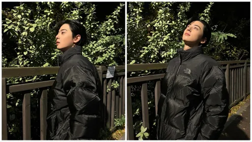 車銀優賞夜景要The North Face相伴 僅露半張臉照樣電暈粉絲