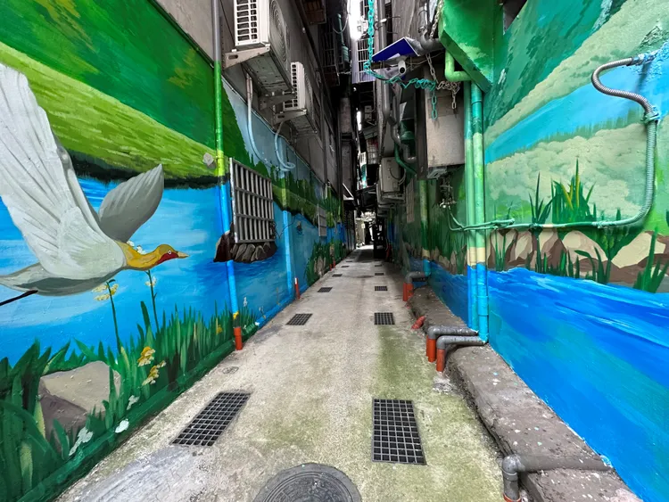 跟著水鳥走入新莊裕民里後巷濕地。水利局提供