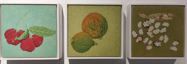 鍾舜文小品，都是母親親手栽種，種在自家菜園，天天都相見的蔬菜花果，呈現田園生活的恬淡。凃建豐攝