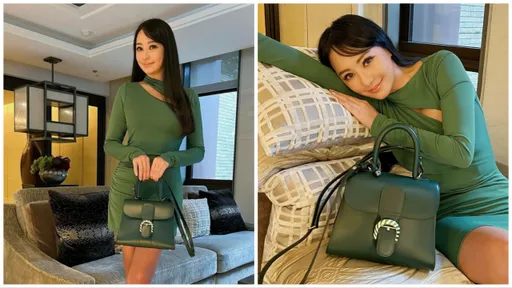 關穎搶背Delvaux「人比包嬌」 同款限定包只有1地買得到