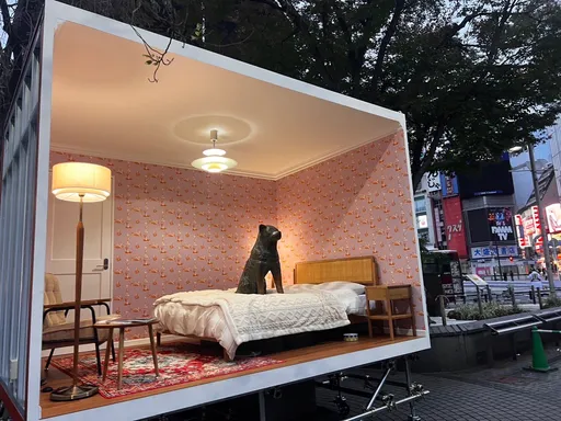 忠犬八公苦守澀谷車站90年 藝術家讓牠上床休息一天