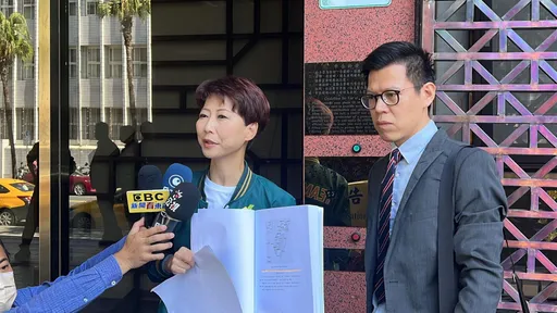 陳亭妃博士論文遭爆抄襲!被虧竟有「維基百科網址」 怒告反批:國民黨看不懂字