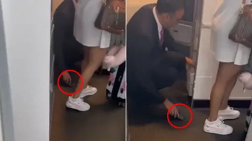 男空服員偷拍女乘客裙底春光 蹲地裝忙手法曝光