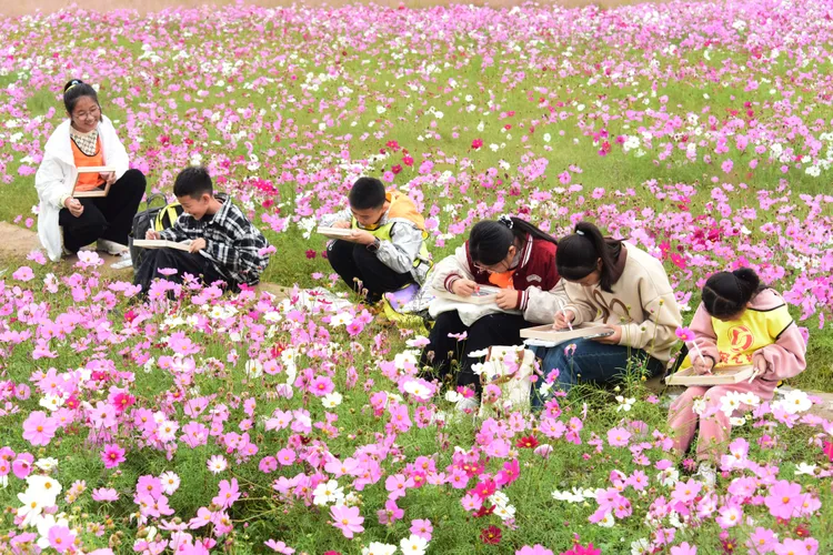 一群學生在湖南常德的花海中寫生。新華社