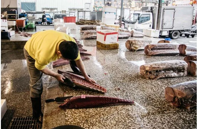 台北漁產公司本業是拍賣漁貨，轉型計畫要走觀光市場。翻攝台北旅遊網