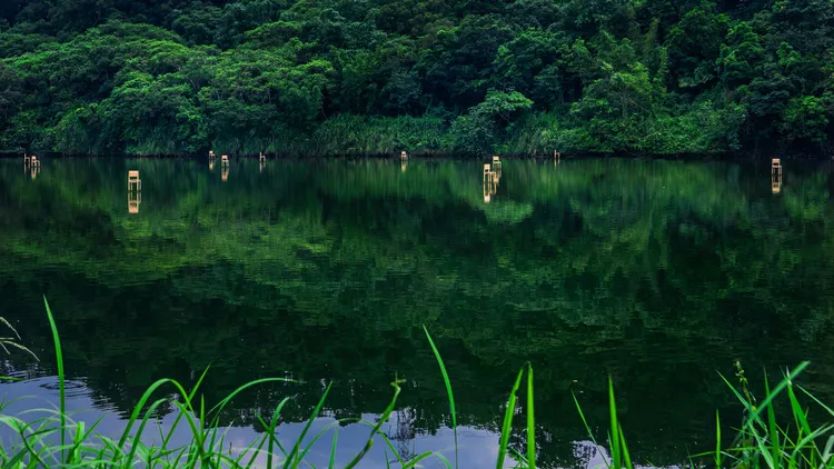 客委會資料顯示，《脆弱之椅》是日本藝術家西田秀己的創作。取自客家委員會網站