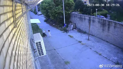 不爽搶玩具！12歲童殘殺4歲女孩　「頭朝下」推糞缸窒息亡