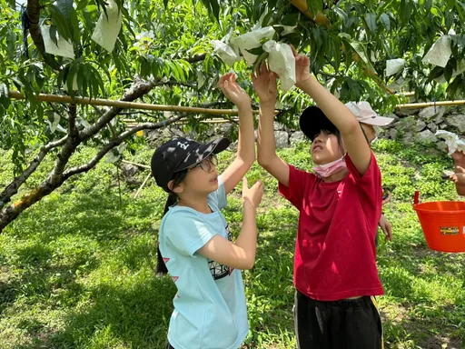 樂桃課程獨步全台 玉峰國小獲教學卓越金質獎