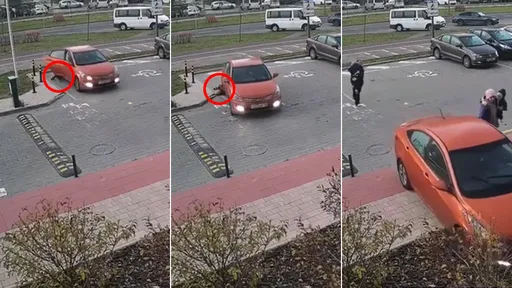 5歲兒上車ing!媽媽踩油門輾過去 超天兵救援舉動把另一孩子也害了