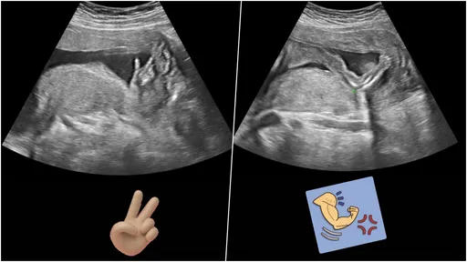 第3胎還是兒子!羅美玲老公「男男自語」碎碎念 寶寶比YA太俏皮