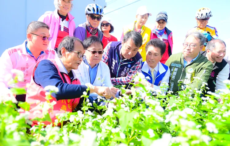 張善政市長了解蕎麥生長情形。市府提供