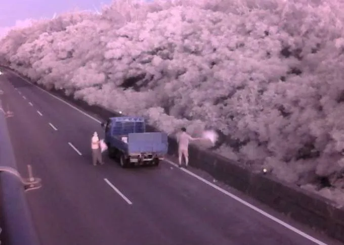 警方查出2男搭小貨車前來偷倒。保七提供