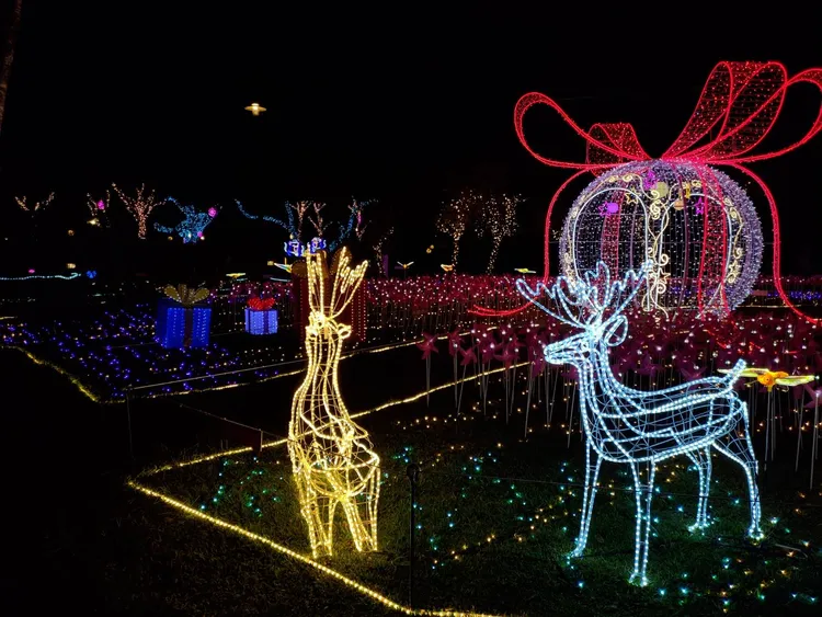 山谷燈光節。參山國家風景區管理處提供