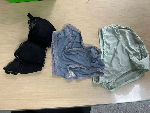 空軍上尉夜闖女幹部寢室 偷內衣藏褲襠!遭記兩大過汰除