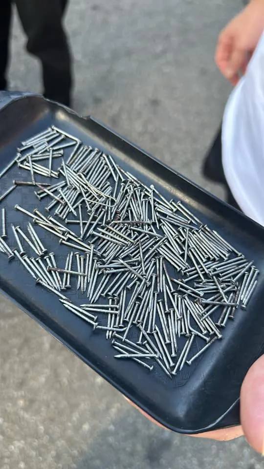 「撒釘怪客」犯案後民眾沿路撿拾上百根鐵釘。翻攝「沙鹿之美」