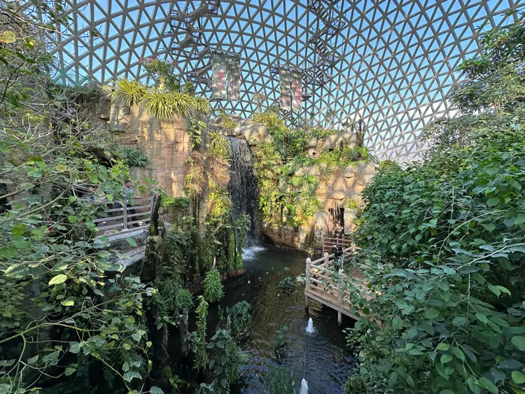 巨濟植物園內有著300多種熱帶植物、共計1萬多株。陳怡文攝