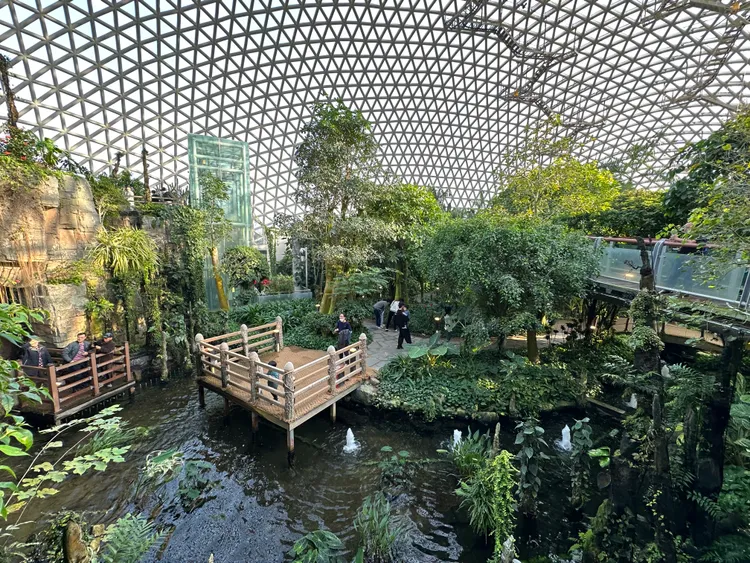 巨濟植物園2020年1月開幕，由7472塊三角形玻璃構成。陳怡文攝