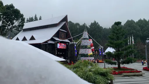 九族文化村「聖誕歡樂月」開跑　12米聖誕樹打造雪國浪漫氣氛