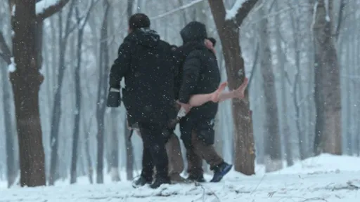 警追查「雪地野砲冻毙裸女」 拢系假!模特儿:被谣言玷污