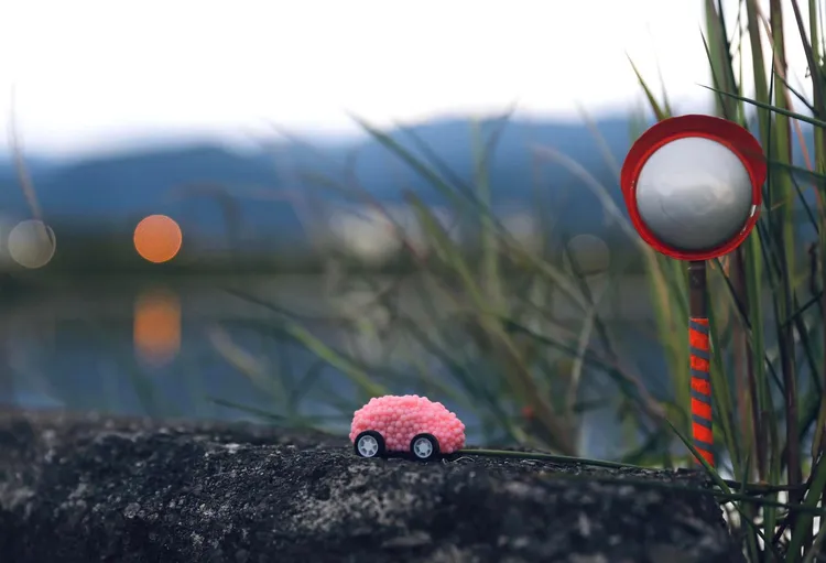 配上迷你交通號誌超奇趣。翻攝自臉書「田文社」