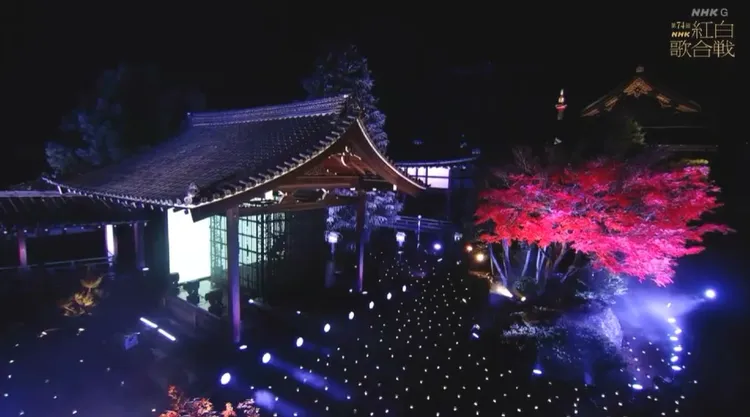 Ado一樣身在鐵籠中表演。翻攝NHK