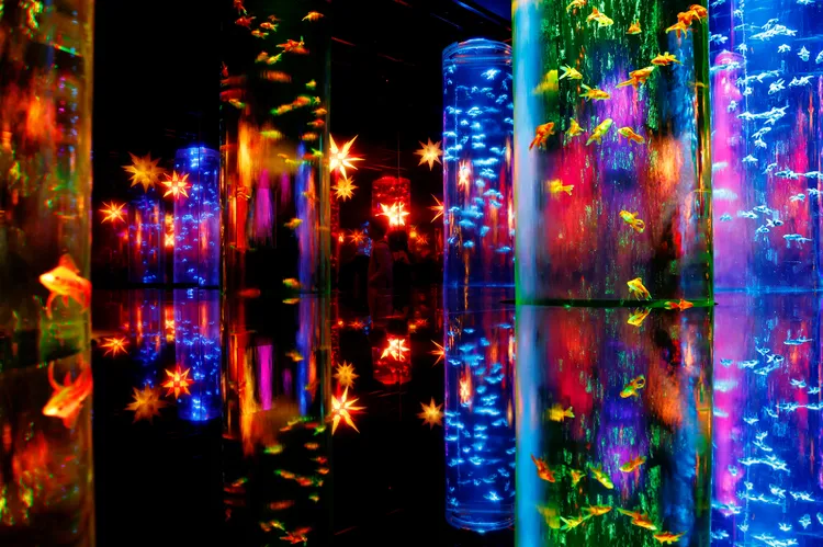 東京「銀座水族博物館」。路透社