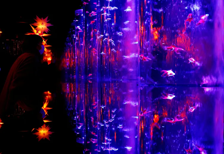 東京「銀座水族博物館」。路透社